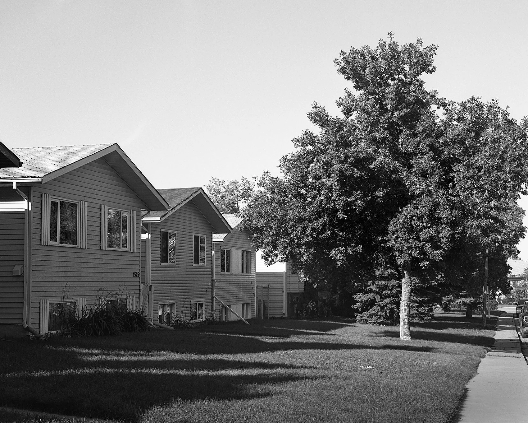 Prince Albert SK 10 small.jpg