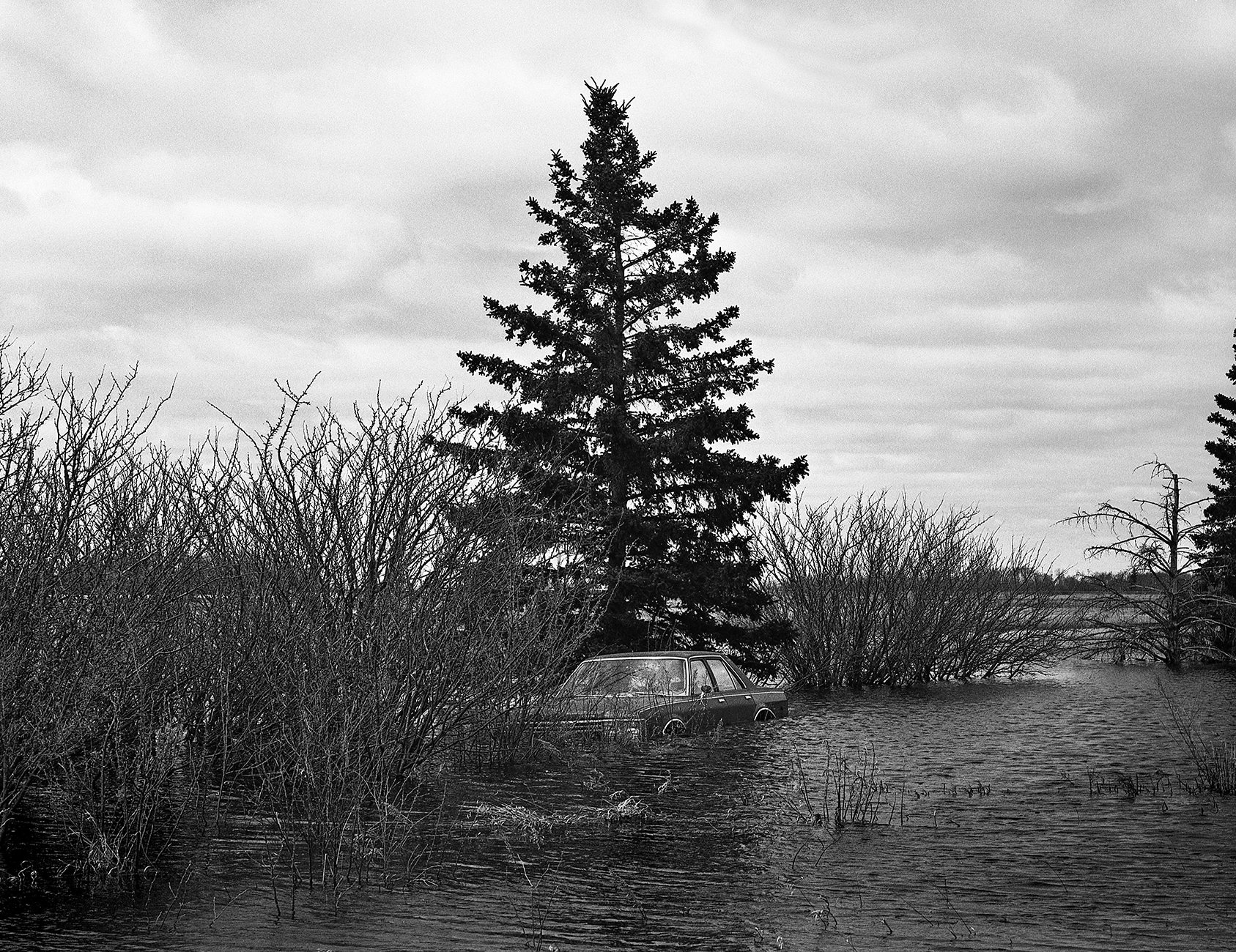 Flooded Prairie 1 small.jpg
