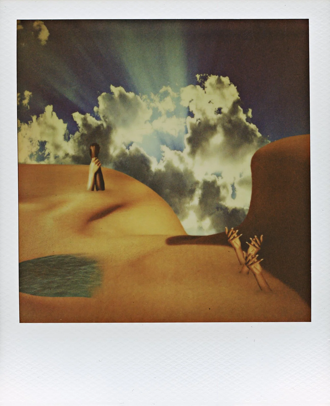 The Body #4
