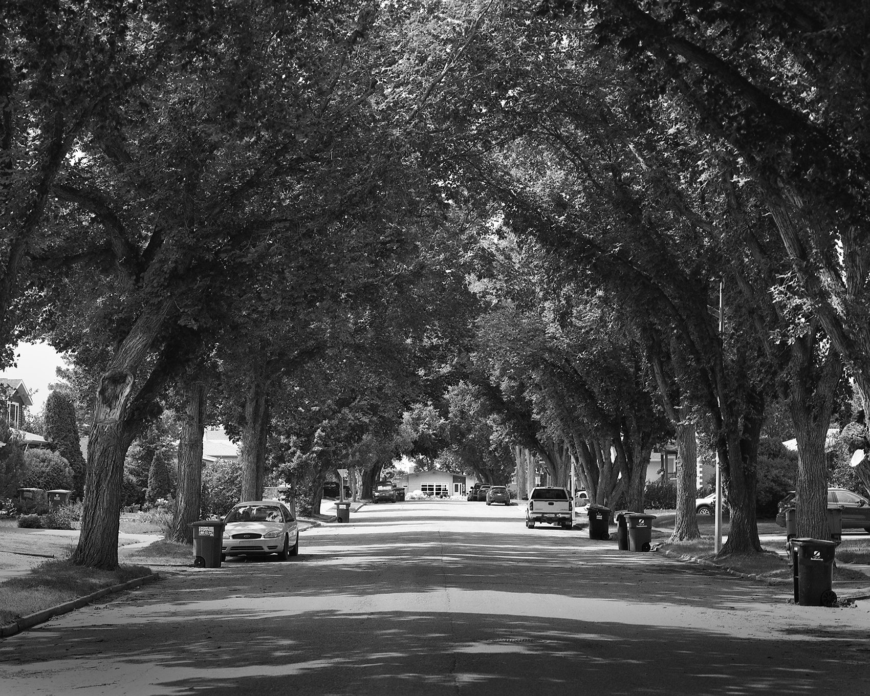 Saskatoon 18 small.jpg