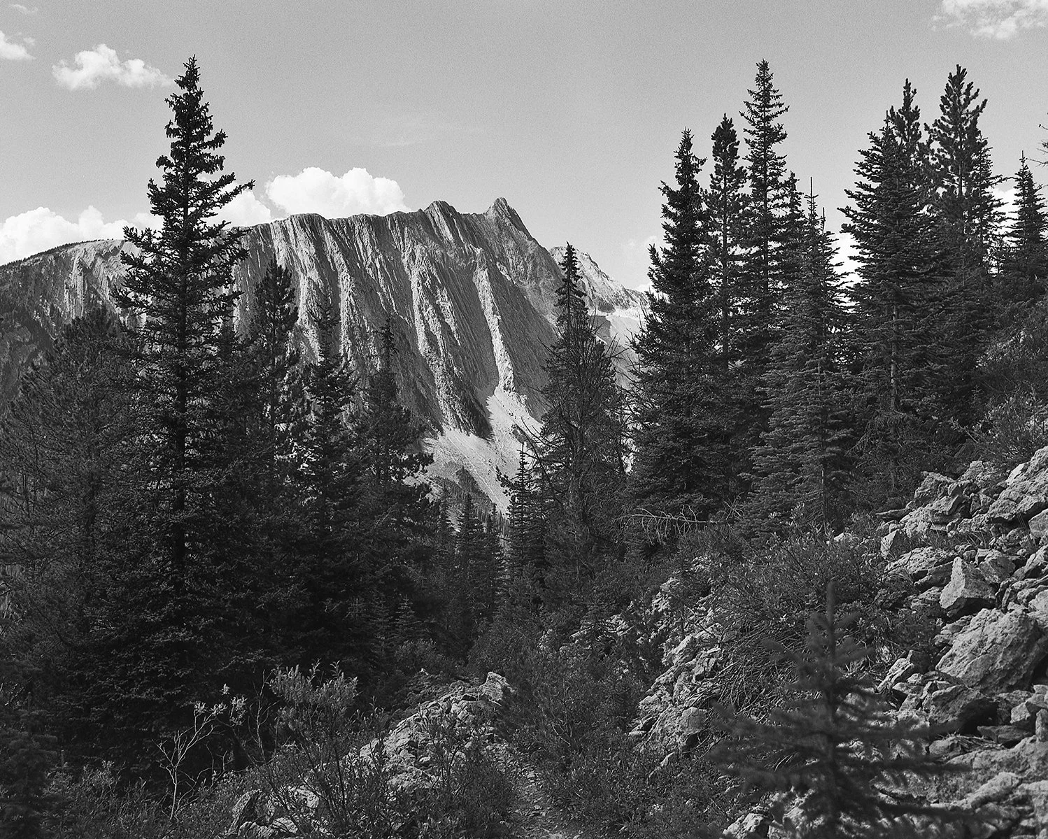 Mount Odgen 1 small.jpg
