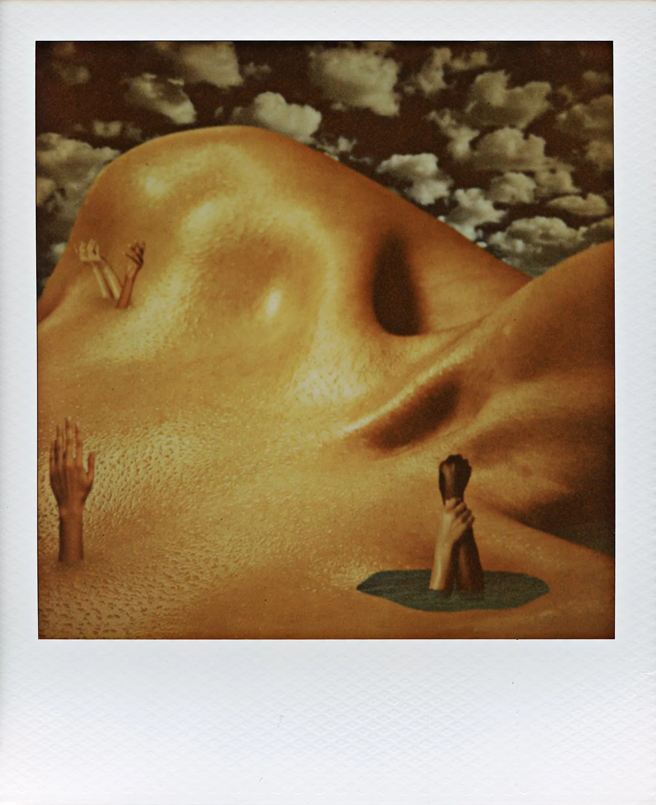 The Body #1
