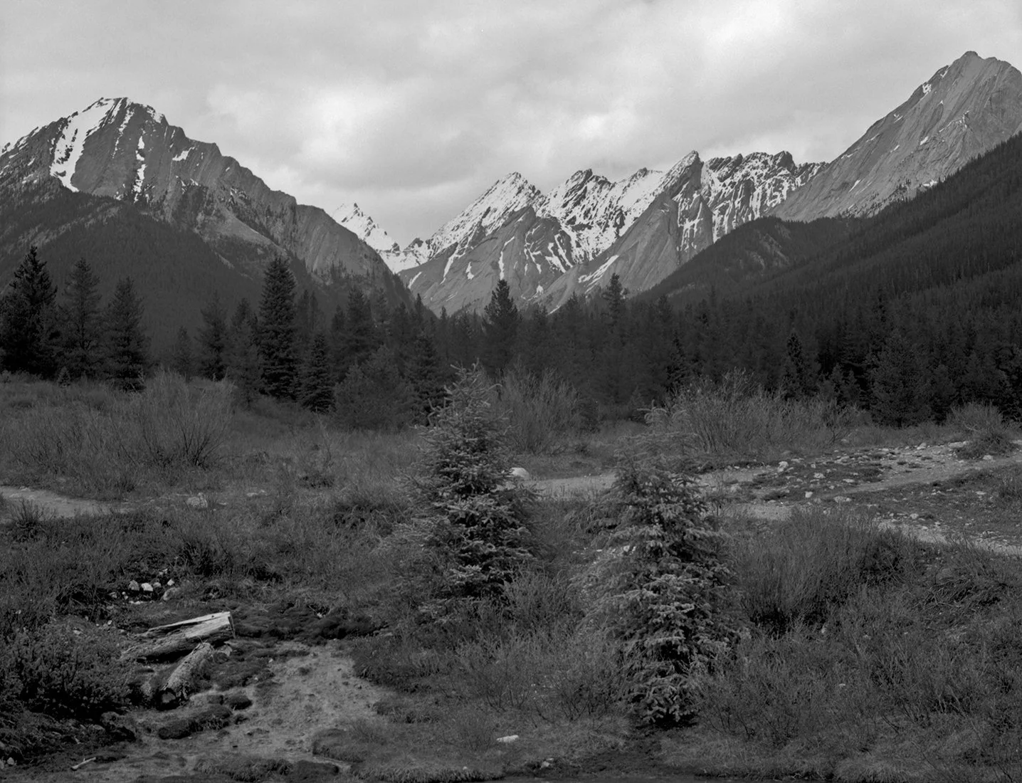 Ink Spots Mountain Range small.jpg