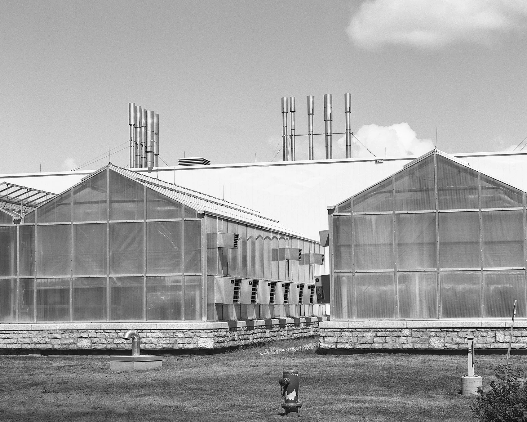 Saskatoon 11 small.jpg