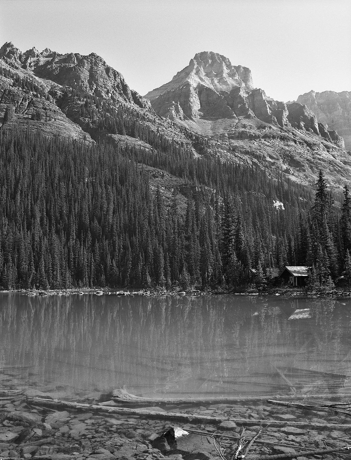 Lake OHara Cabin 1 small.jpg