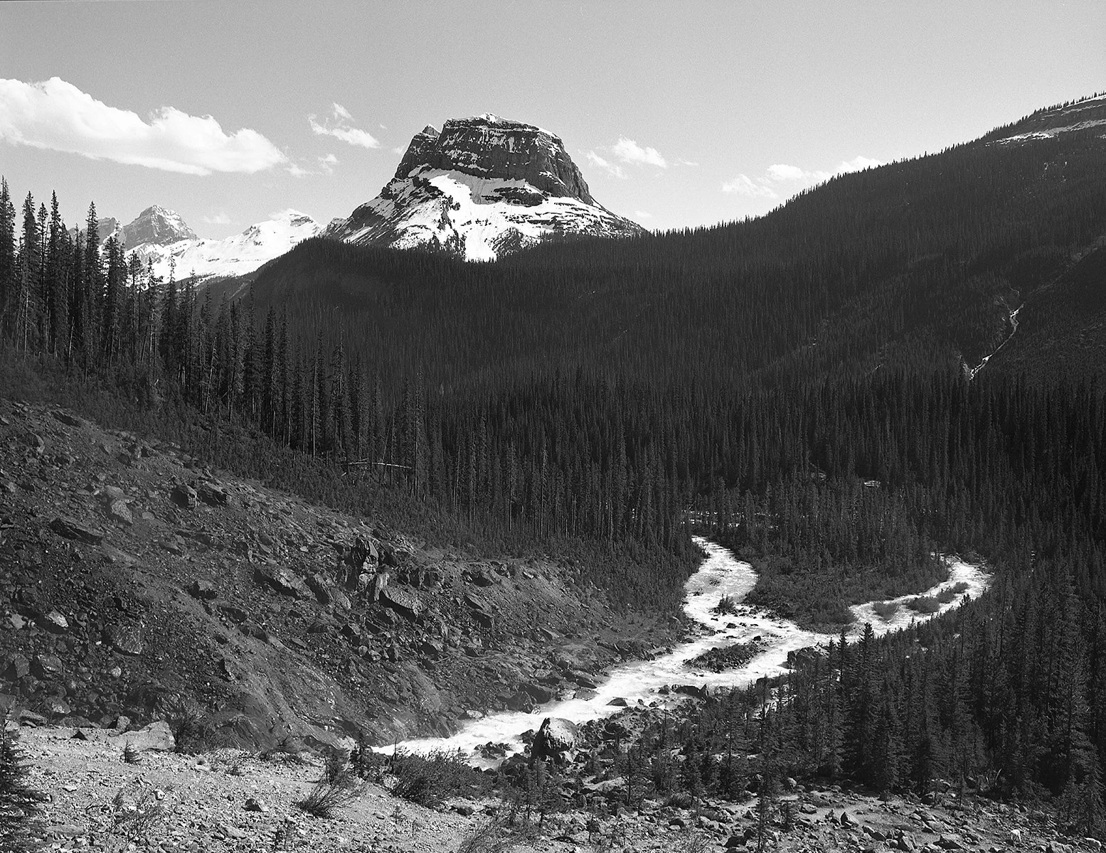 Mount Wapta 1 small.jpg