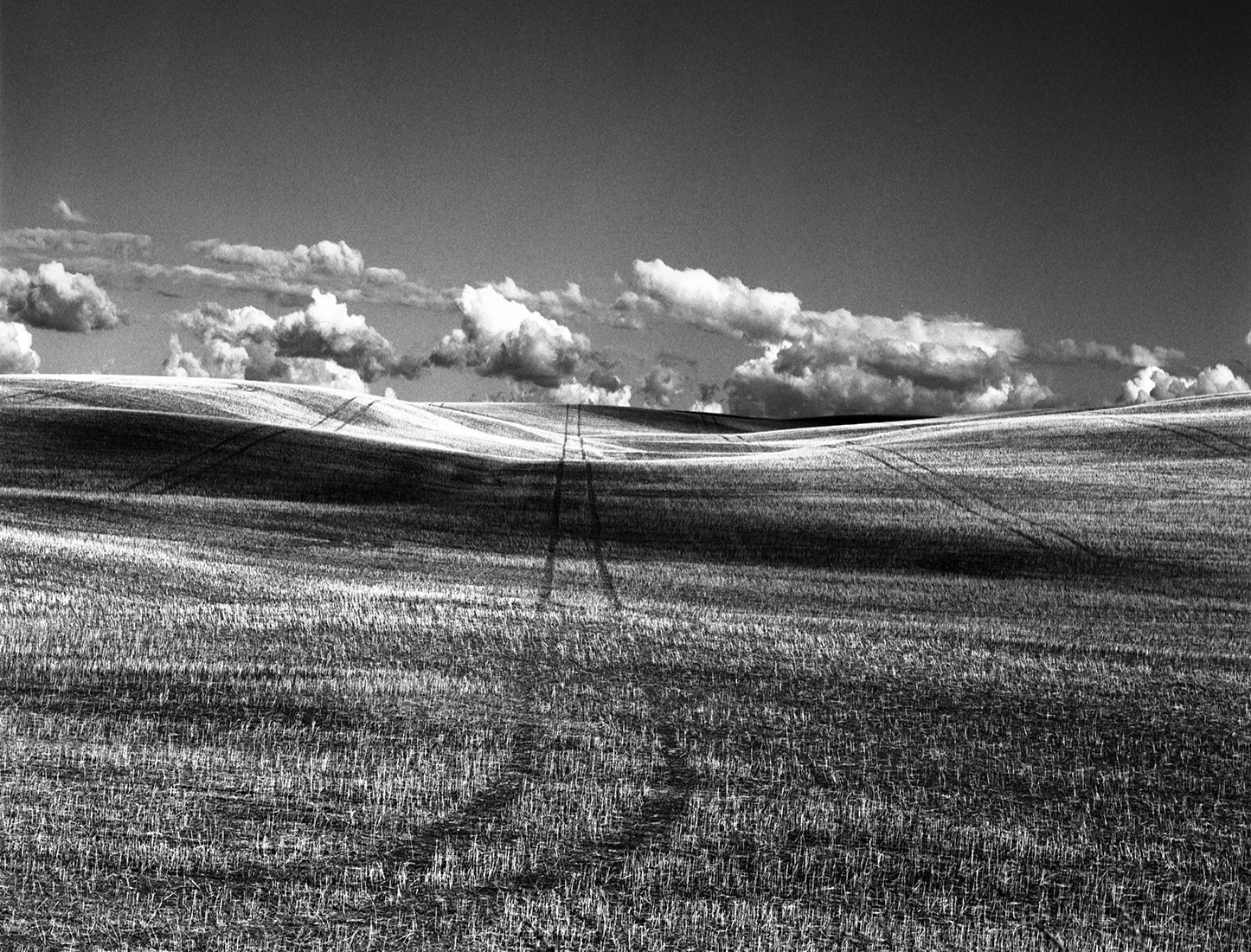 Prairie Landscape 3 small.jpg