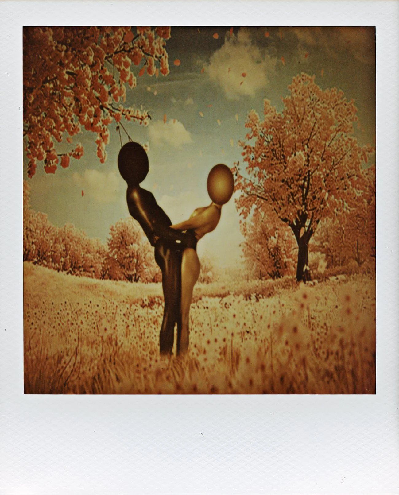 The Desire #1