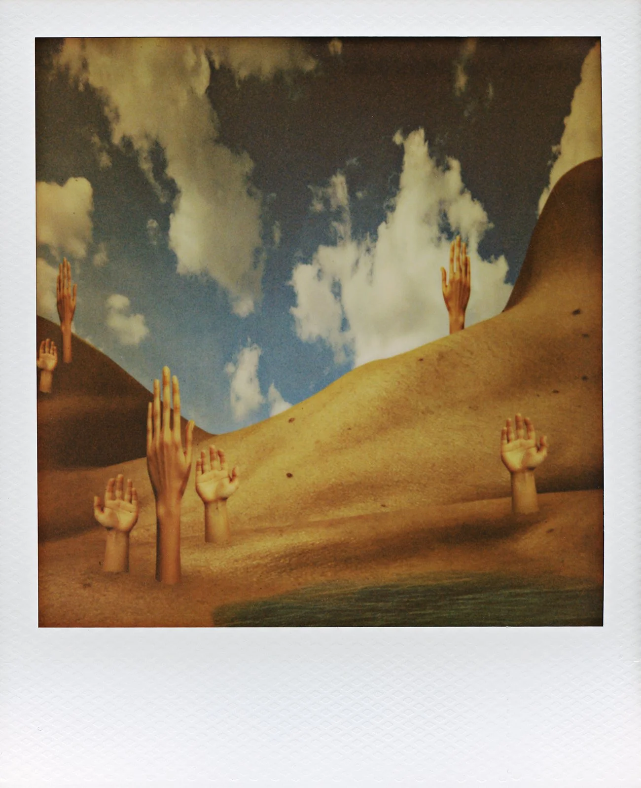 The Body #3