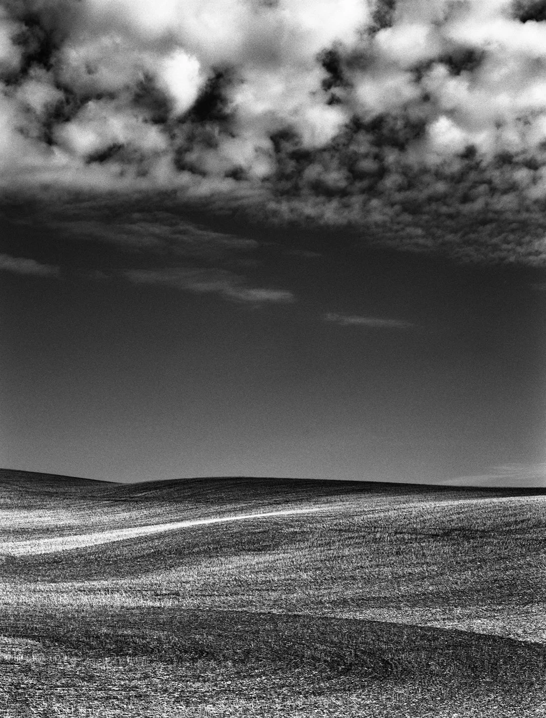 Prairie Landscape 2 small.jpg