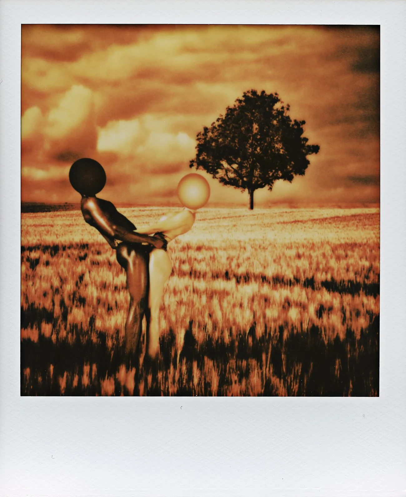 The Desire #5