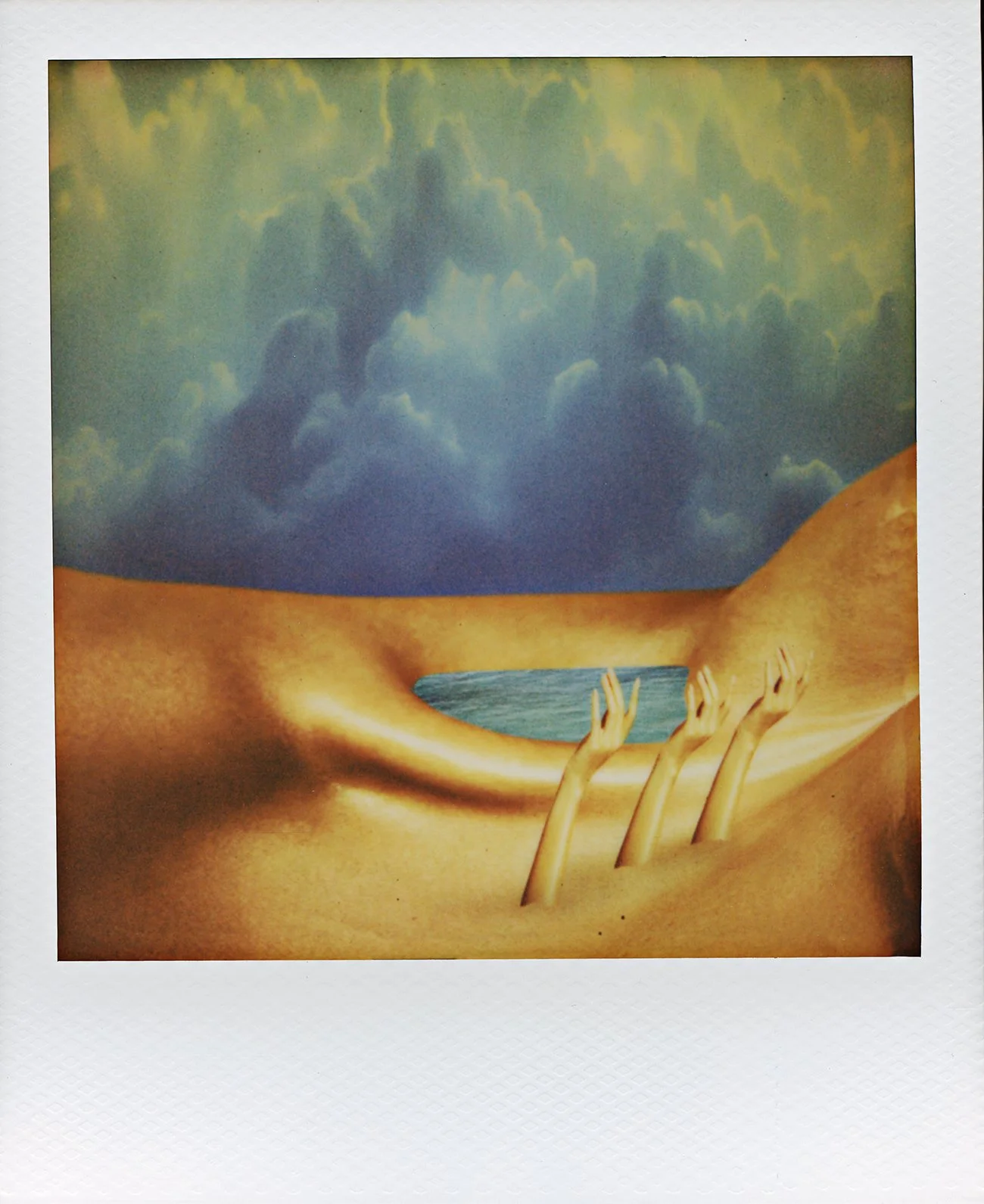 The Body #5