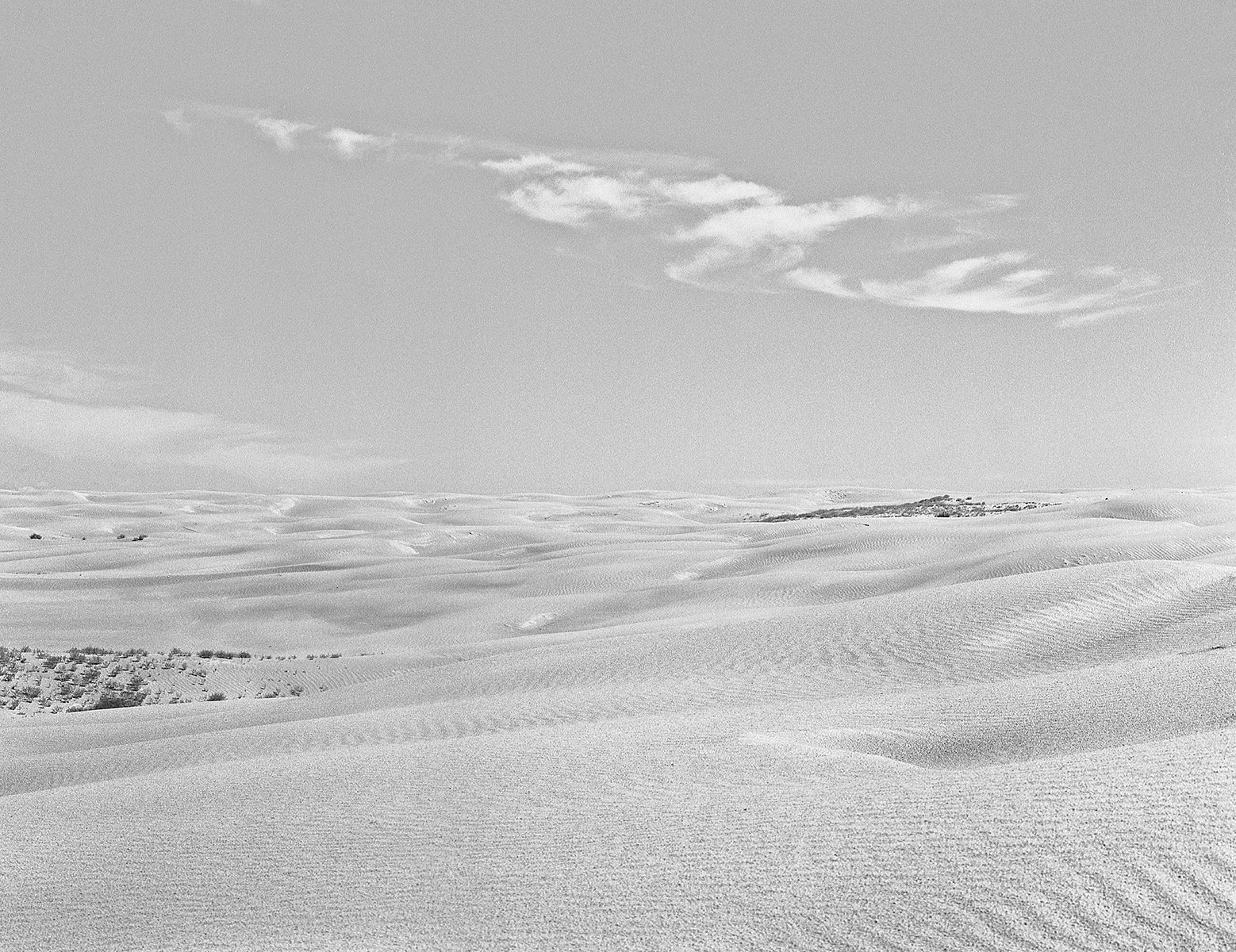 The Great South Sask Sand Dunes 2 small.jpg