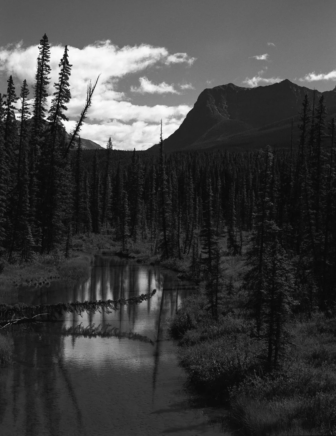 Mount Brett small.jpg