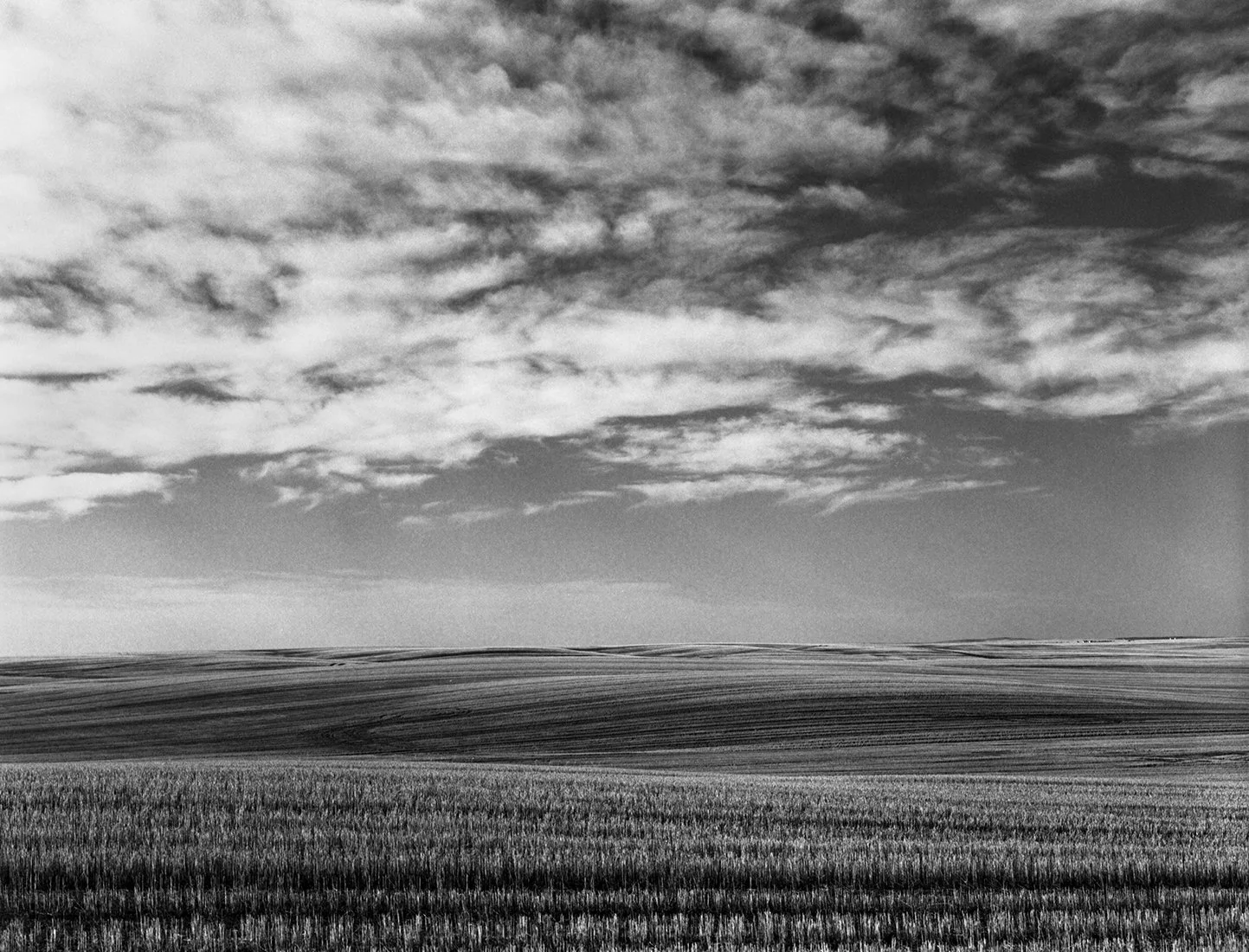 Prairie Landscape 4 small.jpg