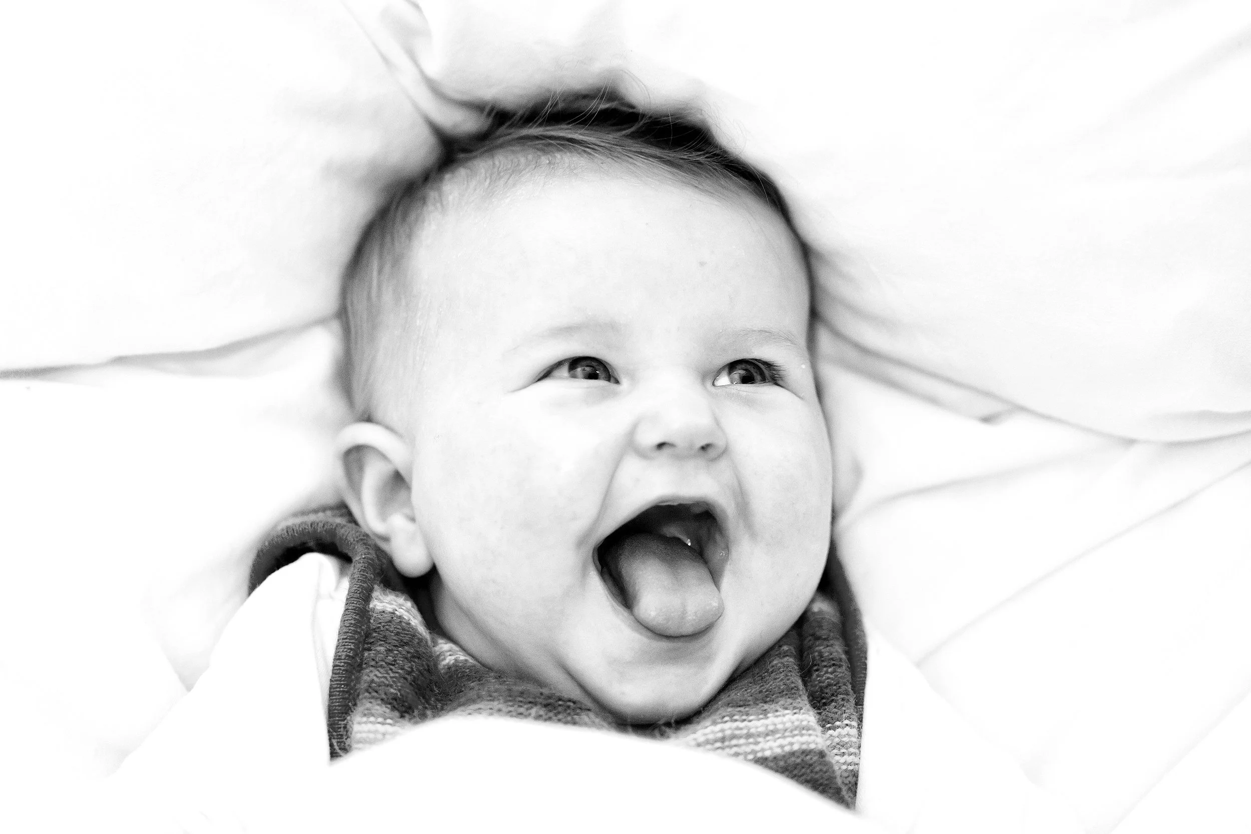 IMG_7940bw - dig.jpg