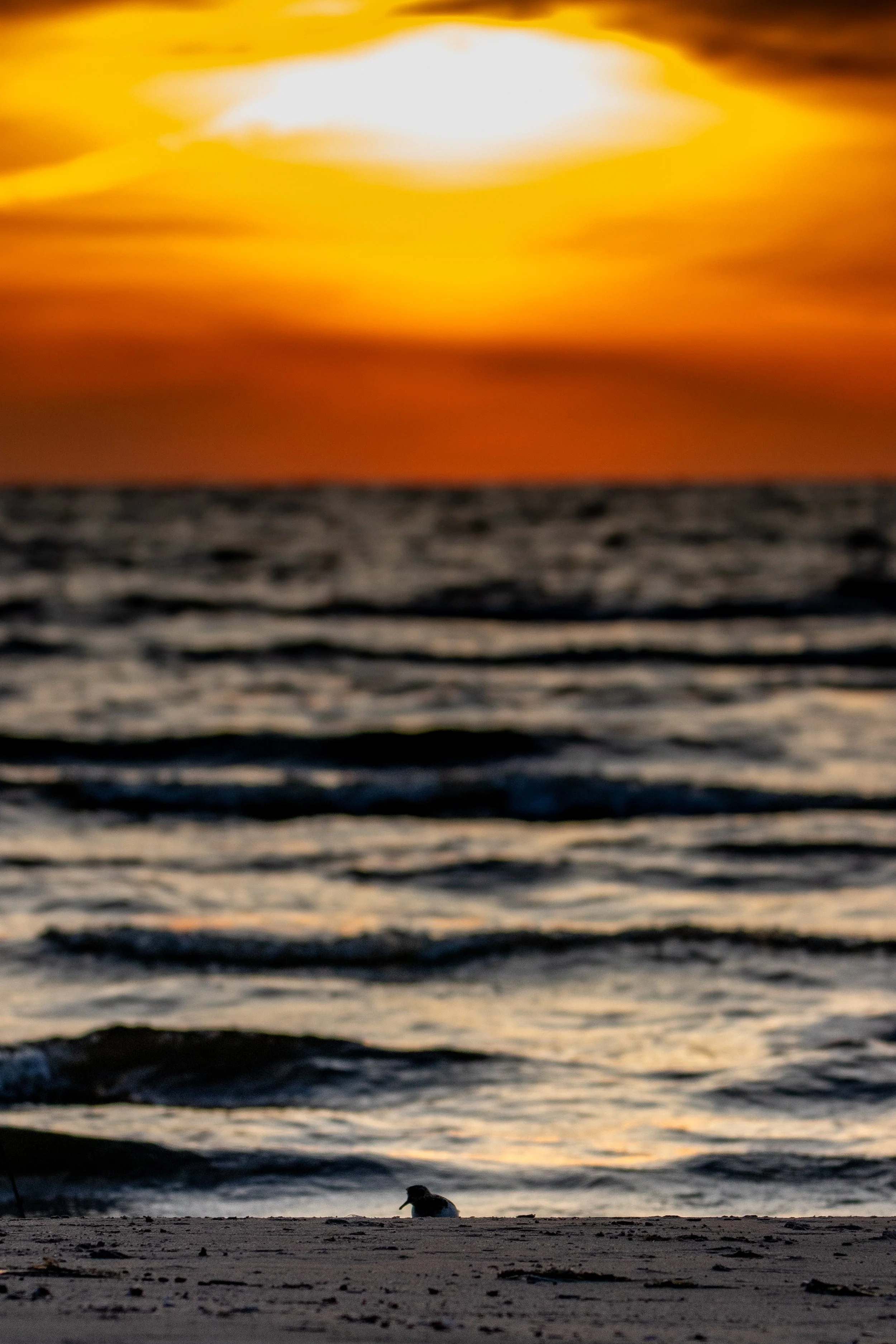 IMG_1580.jpg
