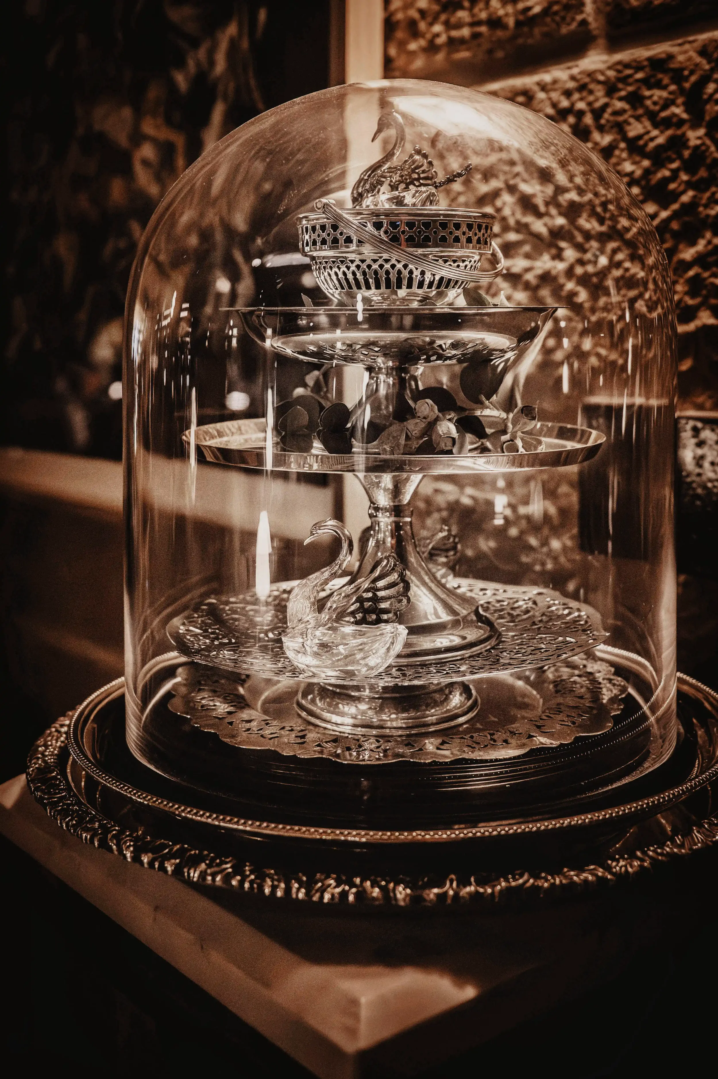 DARLING GLEBE-0098.webp