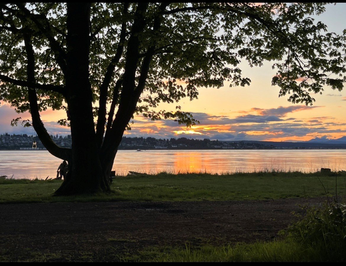 quadra looking at cr.jpg