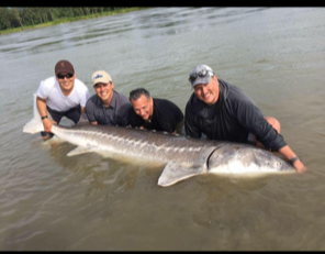 Four men in water holding a large fish they caught.