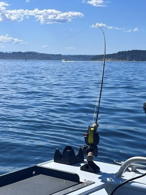 Salt Water Fly Fishing - pricing is all custom by charter!  Please message us to discuss.