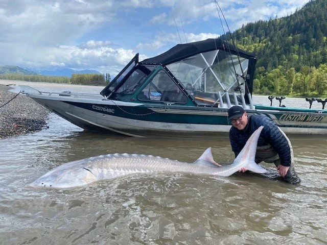 A man in a dark jacket and cap holding a large fish in shallow water near a boat, with a mountainous landscape in the background.