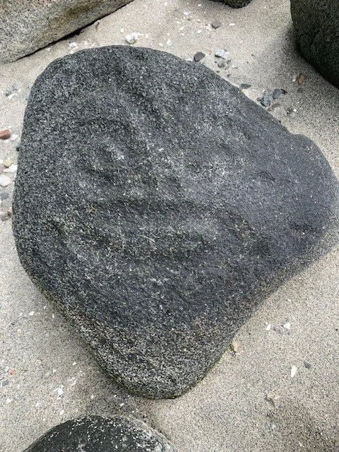 A large, smooth, dark gray rock on sandy ground with smaller rocks around it.