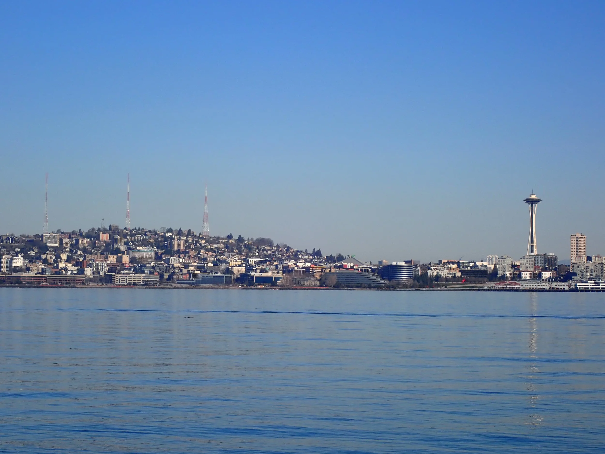 Seattle Naturalists’ Event Roundup: February 16th to February 22, 2026