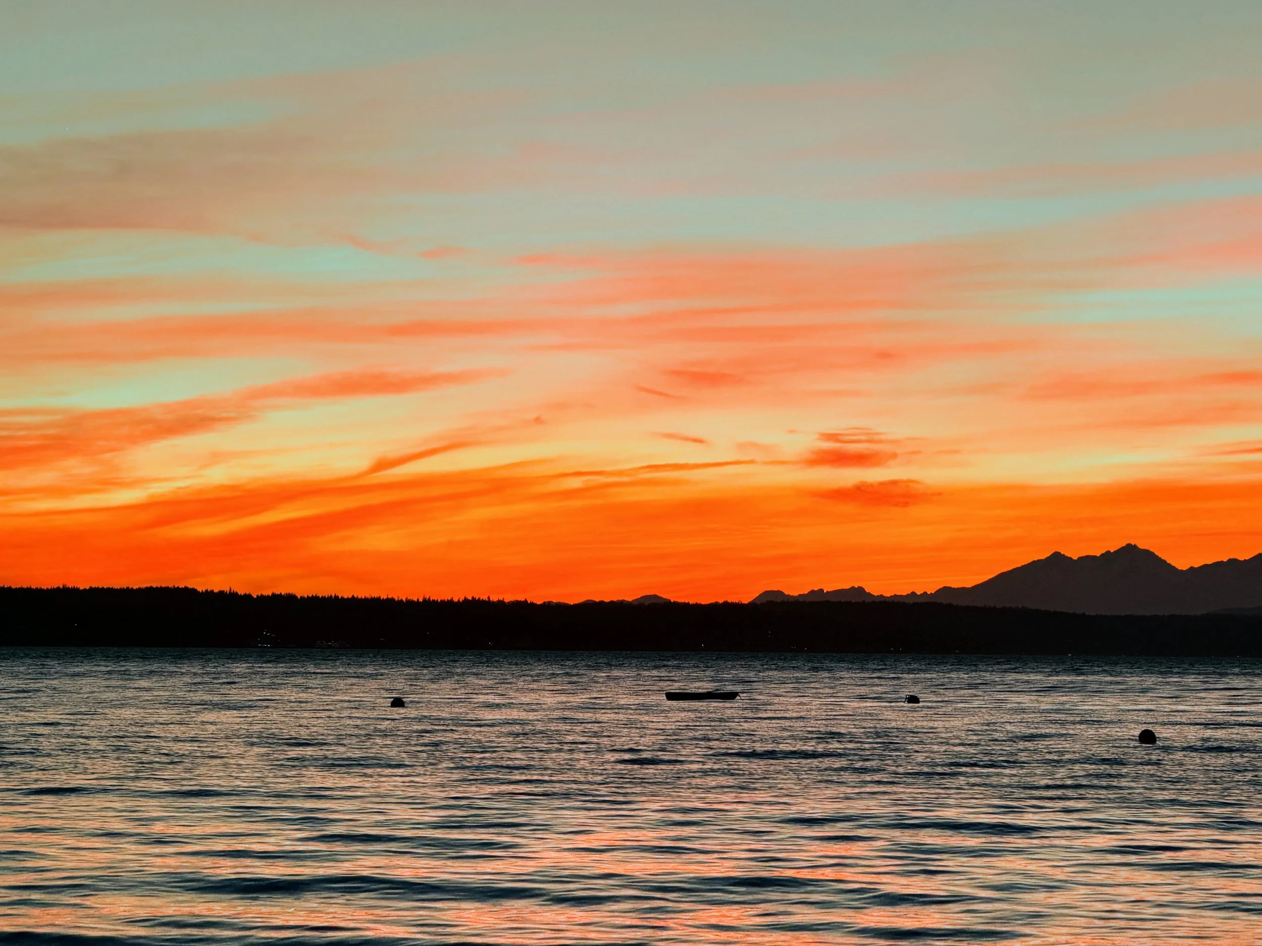 Seattle Naturalists’ Event Roundup: March 2nd to March 8, 2026