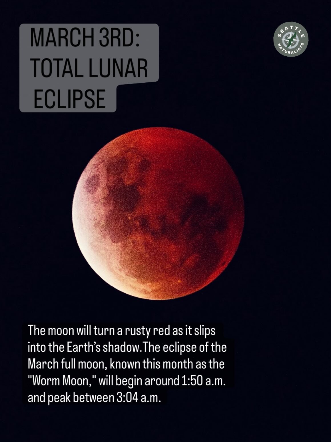 &ldquo;I have no idea where this will lead us, but I have a definite feeling it will be a place both wonderful and strange.&rdquo;- Dale Cooper, Twin Peaks

A lunar eclipse is when Earth moves directly between the Sun and the Moon, casting Earth&rsqu