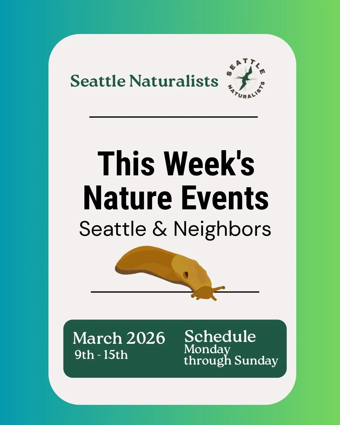 We may have lost an hour of sleep, but we gained an extra hour of evening light &mdash; which feels like a pretty good trade. 

Cheers to all these local organizations hosting so many incredible events this week! ✨ Hope to see y&rsquo;all at some of 