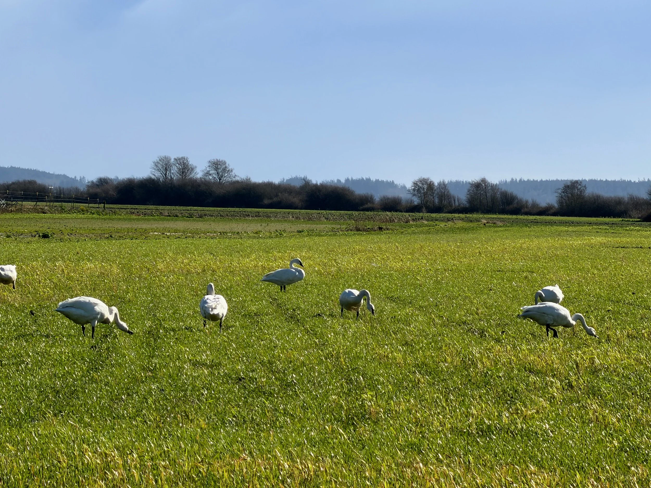 Seattle Naturalists’ Event Roundup: March 16 to Ma