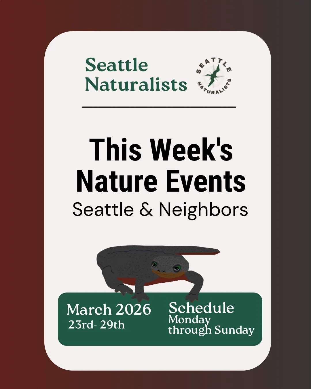 &ldquo;I have no idea where this will lead us, but I have a definite feeling it will be a place both wonderful and strange.&rdquo; - Dale Cooper, Twin Peaks 

HAPPY SPRING! We&rsquo;re so excited for the season ahead. And all the weird, wonderful thi