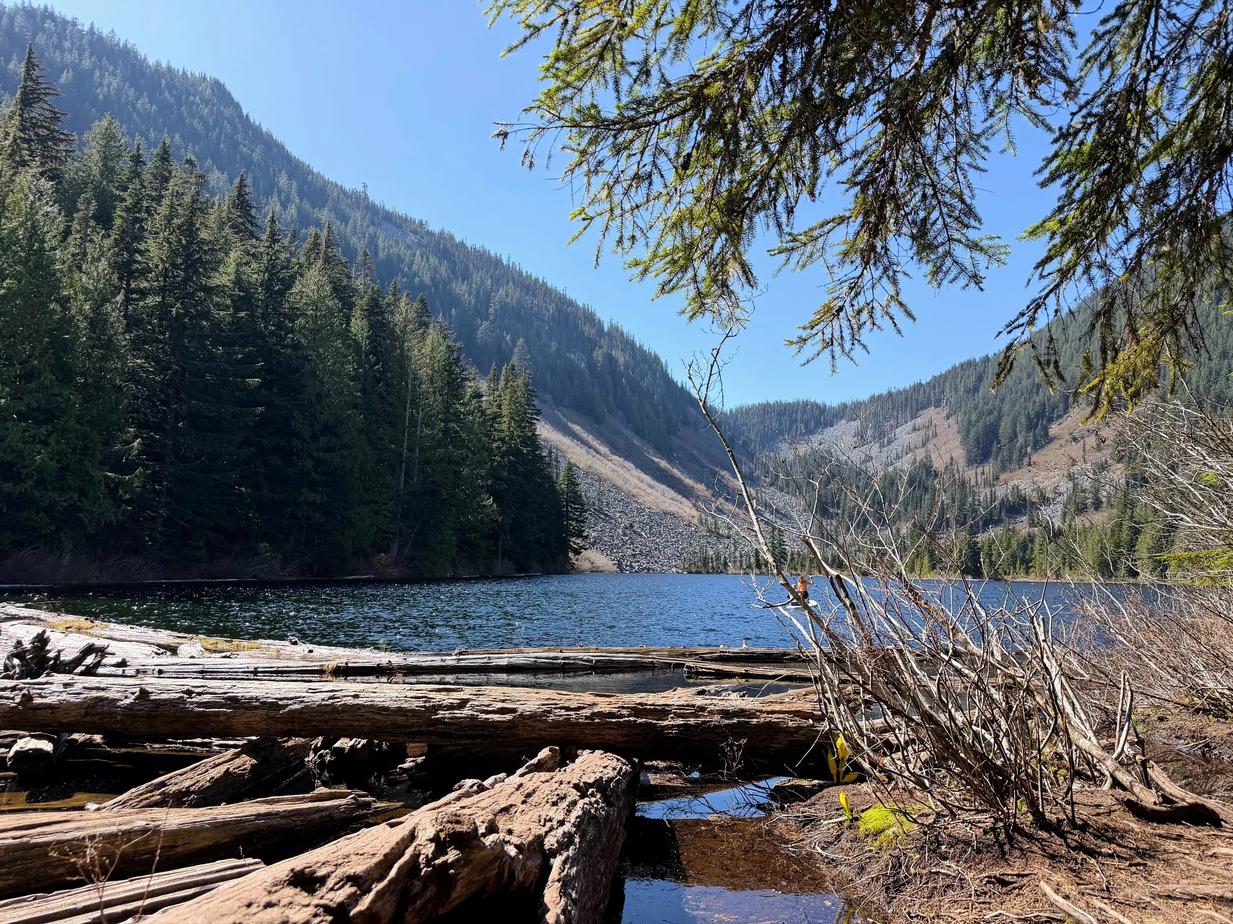 Seattle Naturalists’ Event Roundup: May 4th to May 10th