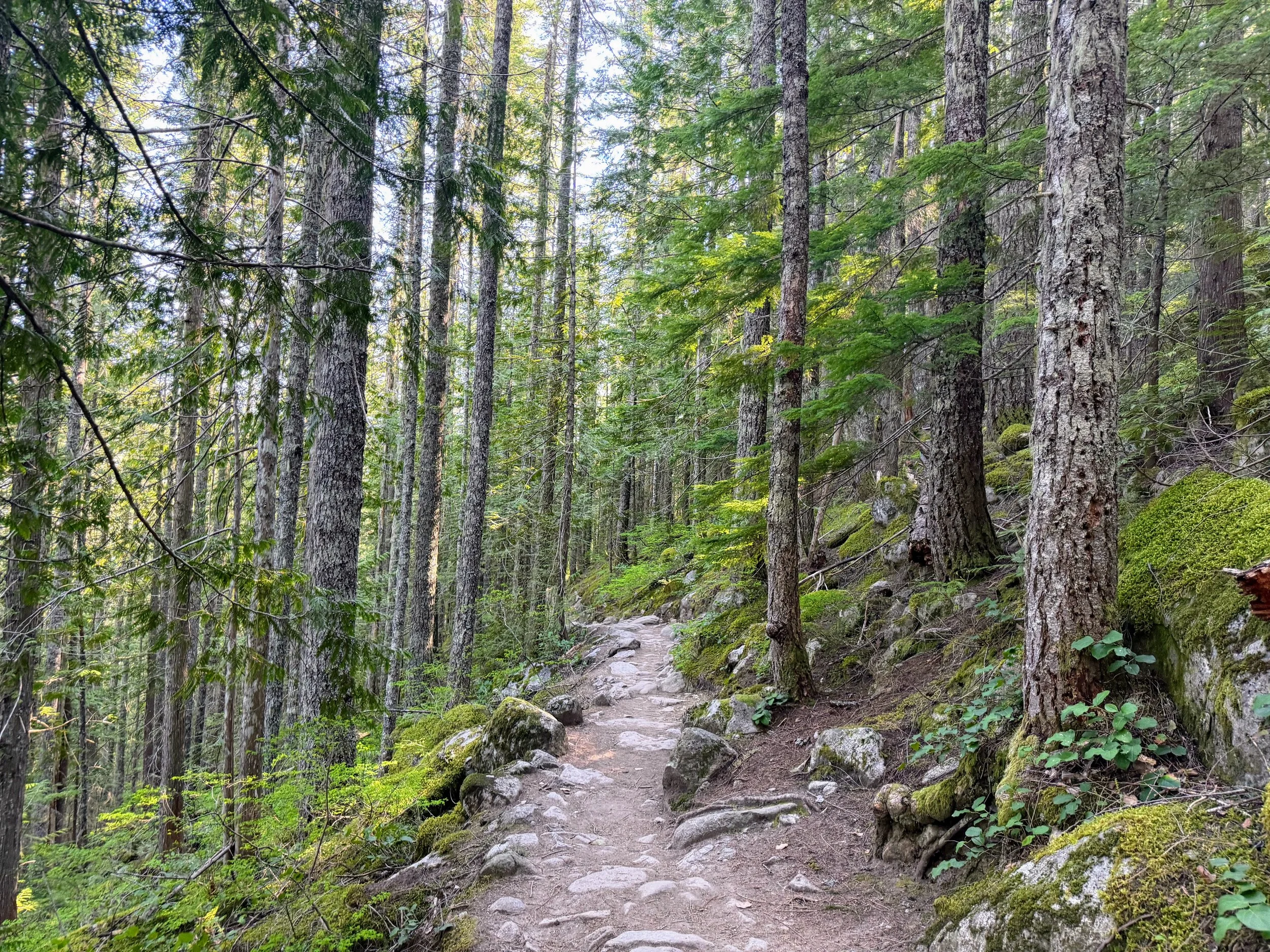 Seattle Naturalists’ Event Roundup: May 18th-May 24th