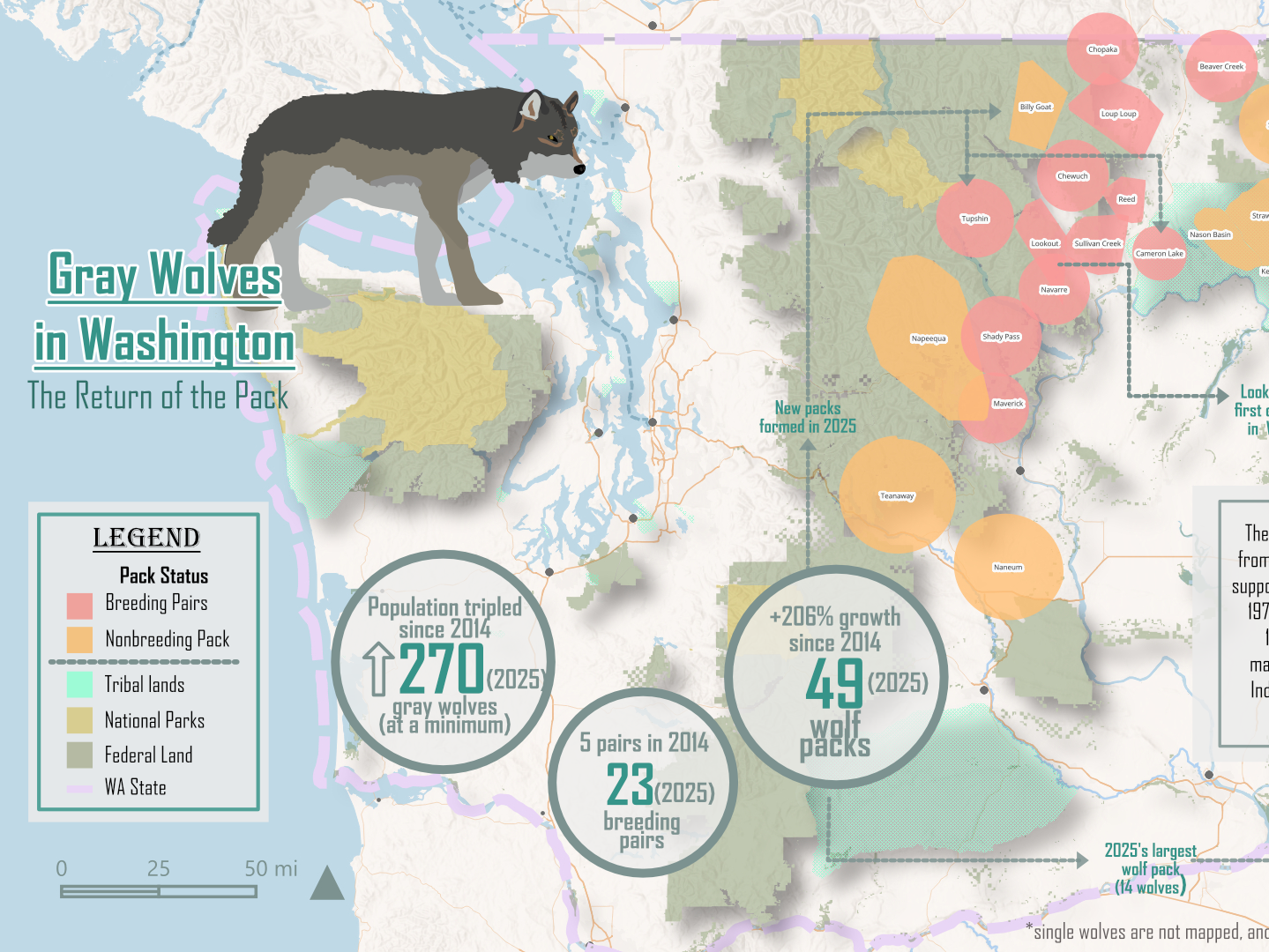 Gray Wolves in Washington: The Return of the Pack