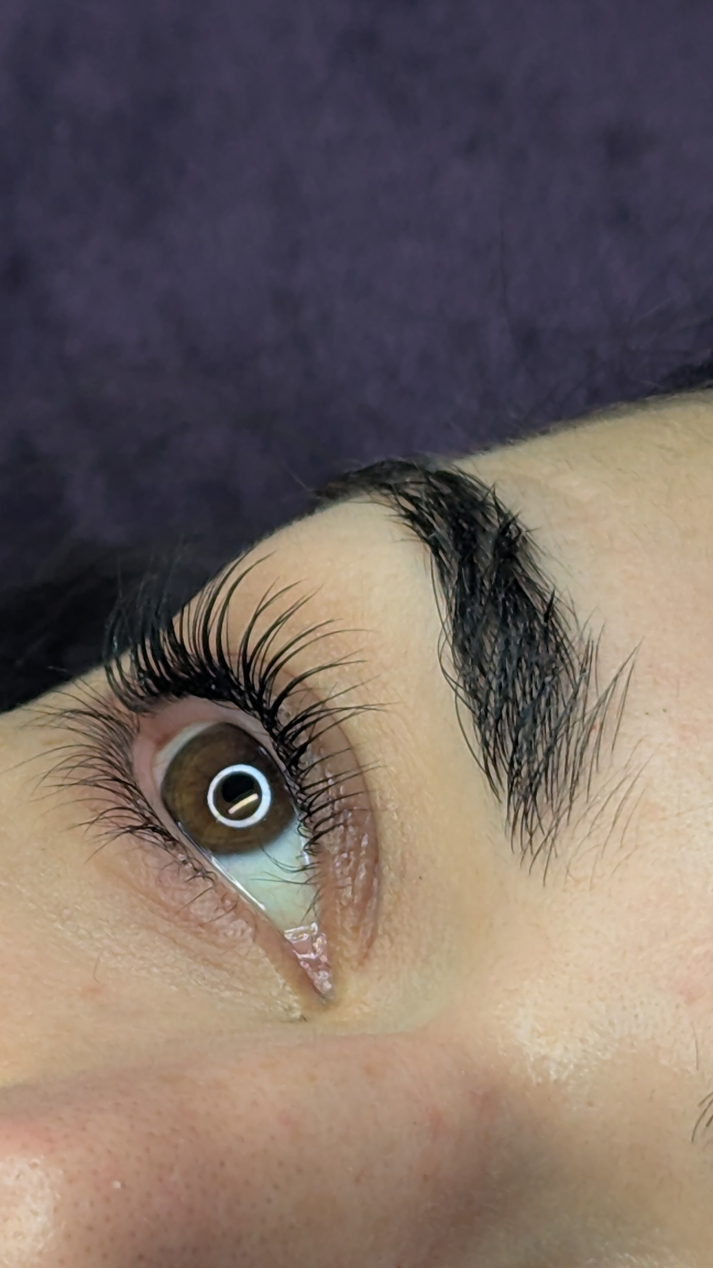 Lash Lifts and Tints