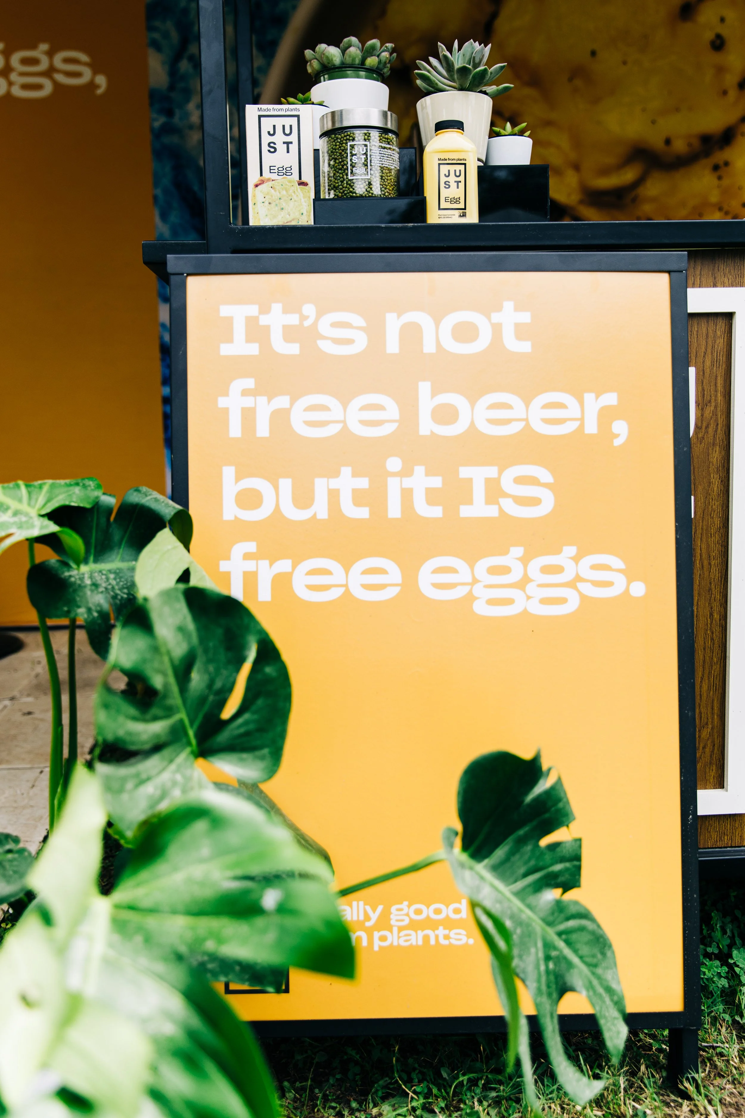 JUST EGG BONNAROO 2 BY AZUREE WIITALA-0541.jpg