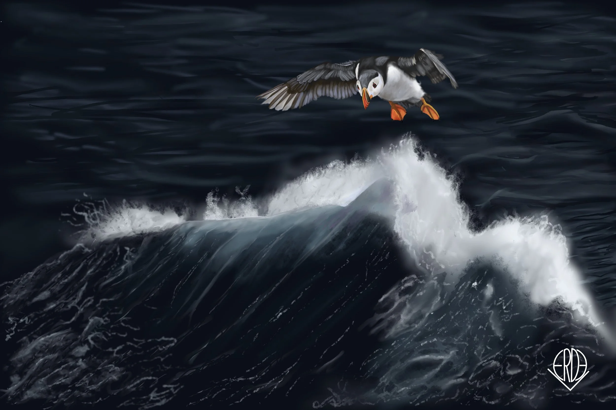 Cetacean vision