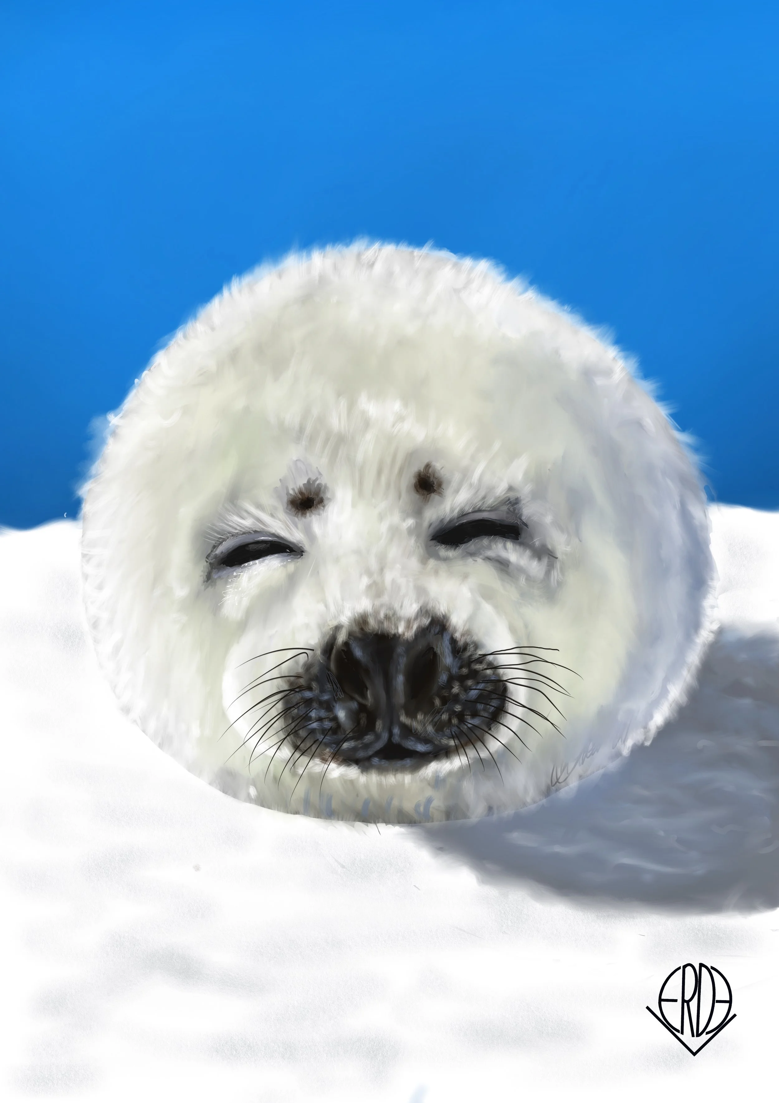 Harp seals moult producing Micro fibres