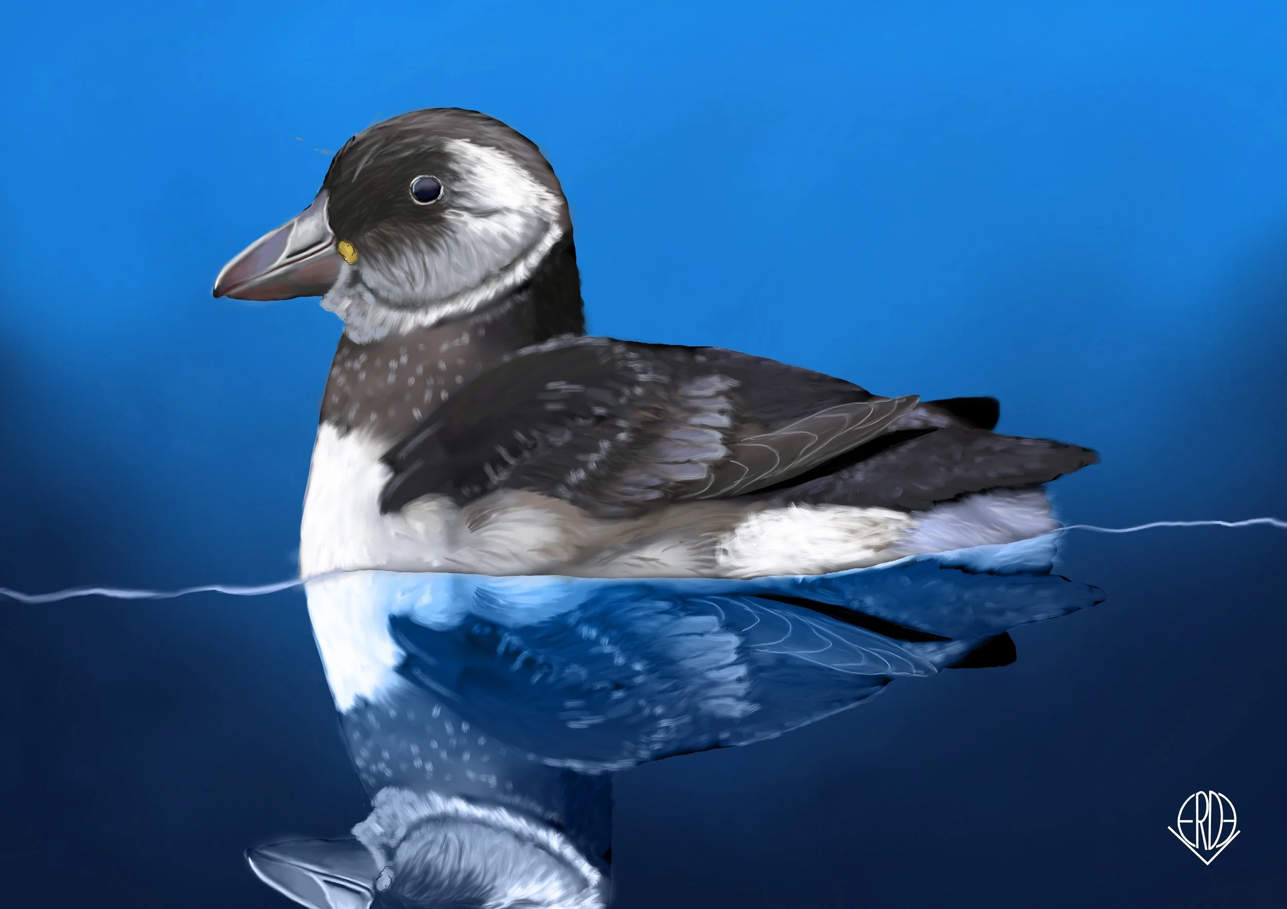 A Puffling study