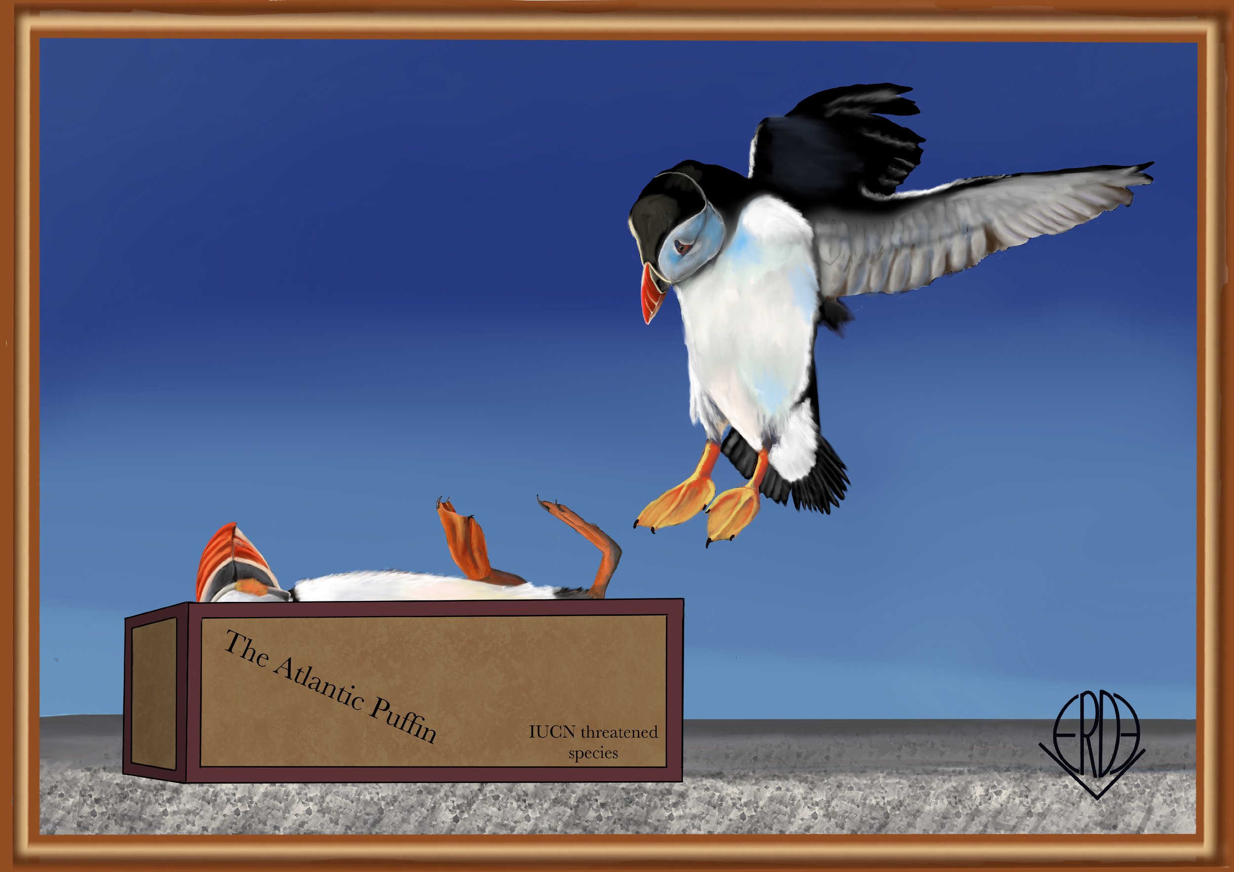 Artwork depicting a puffin flying above a cardboard box labeled "The Atlantic Puffin" and "IUCN threatened species," with a distressed puffin lying inside the box.