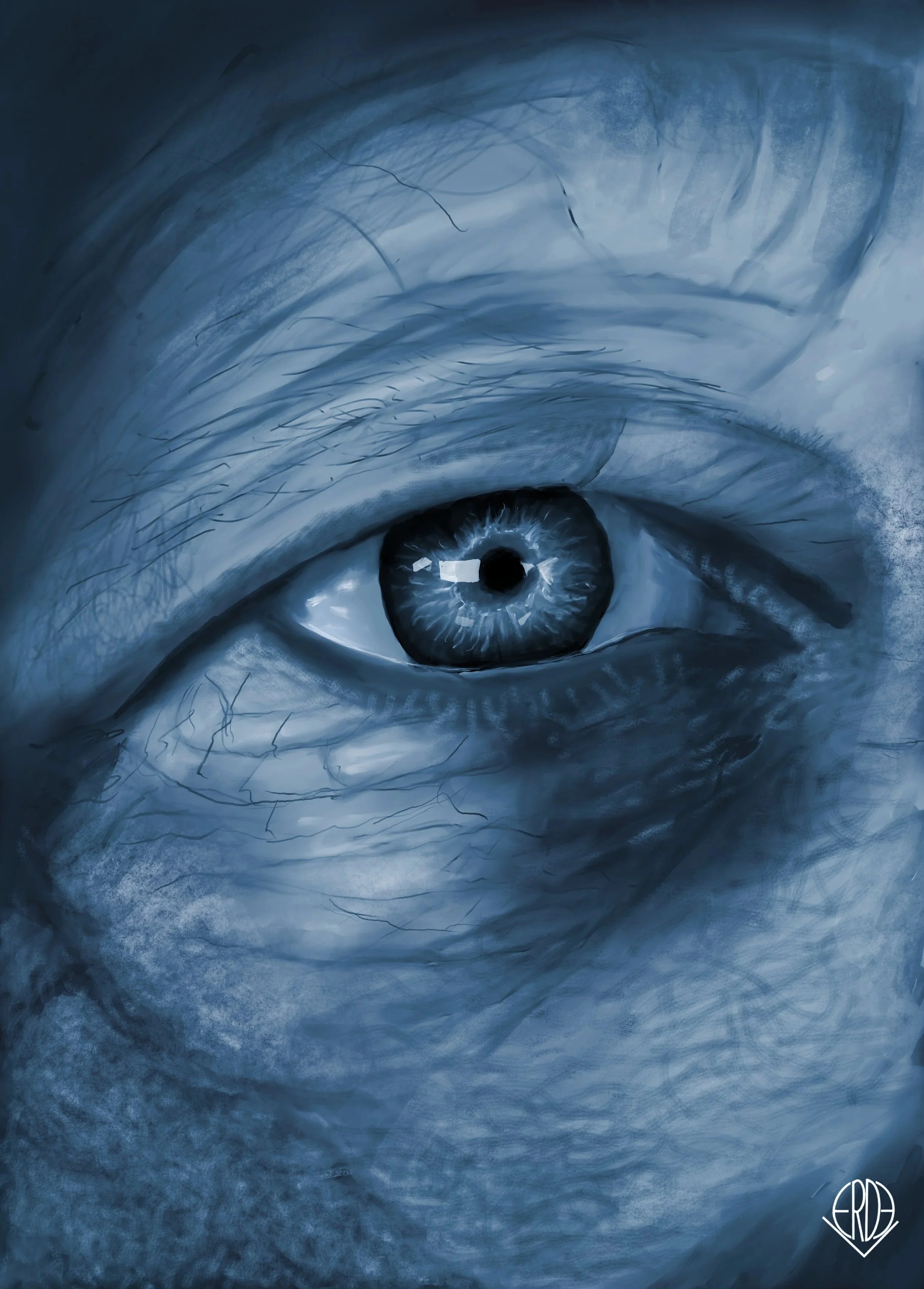 Digital painting of the artists' eye in contrast to that of a Whale: We catch glimpses of Whales when we go whale watching but how do they see us?