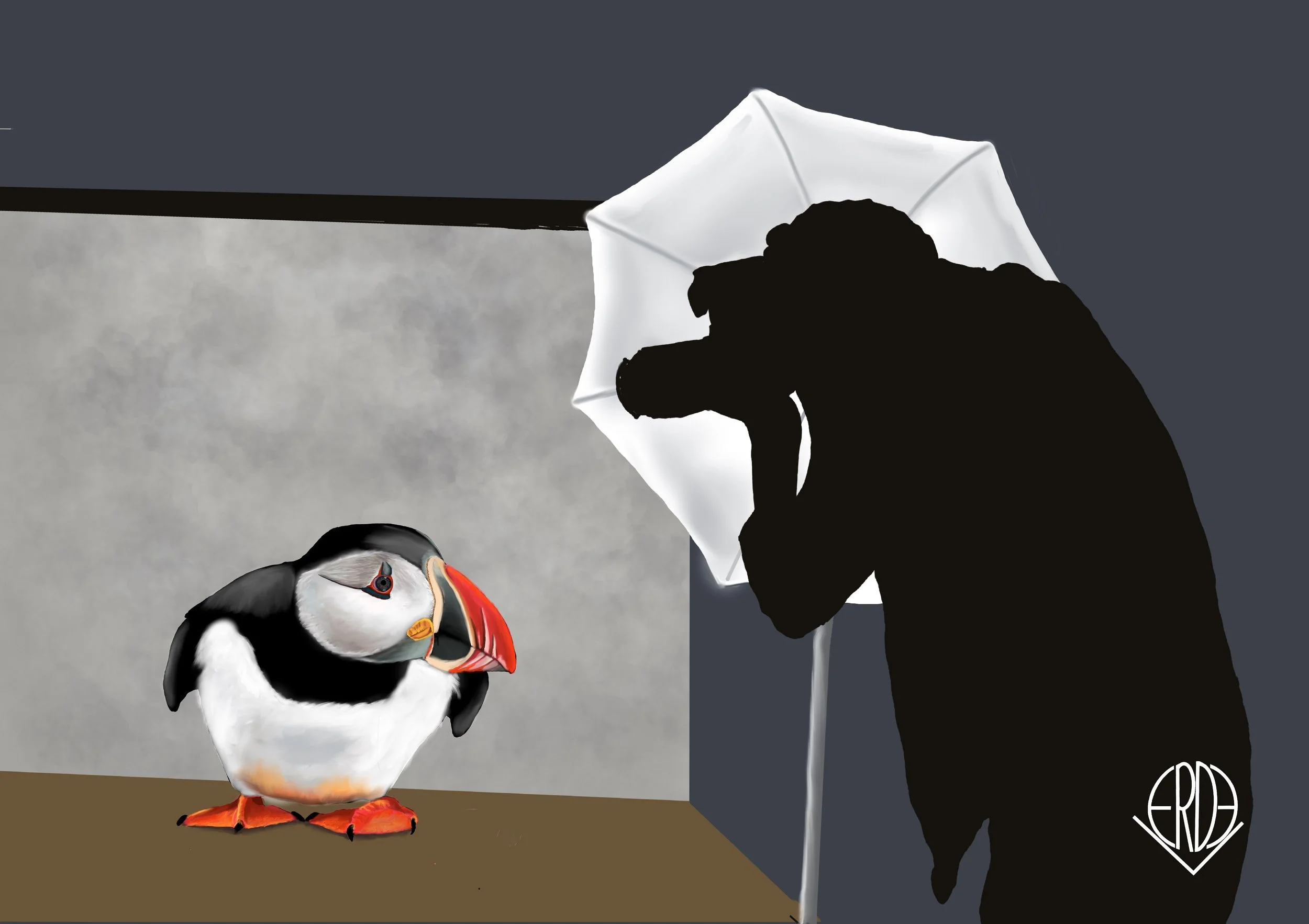 Puffin portraits: Artworks inspired by Photographer, Environmentalists and Naturalists who have unique relationship with nature and the world of the Atlantic Puffin.