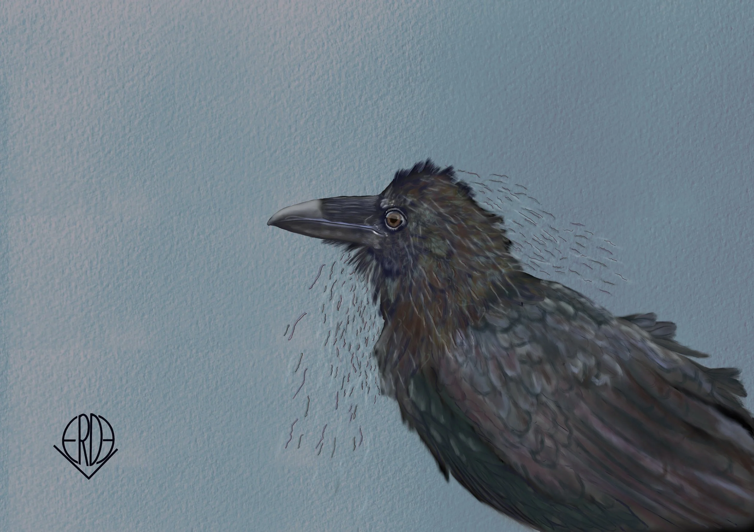 Bird feathers shed Micro fibres