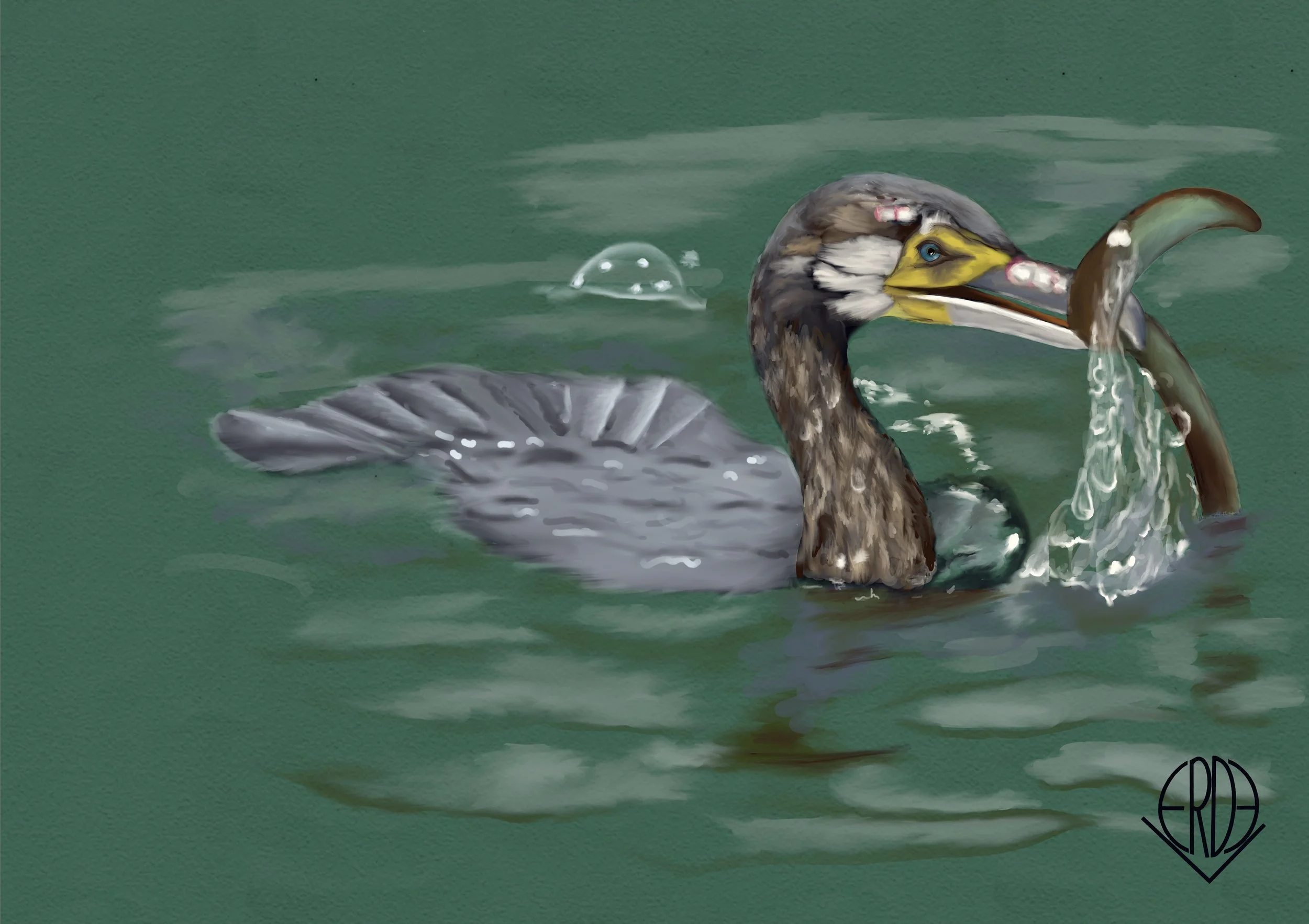 A detailed digital painting of a pelican catching a fish in green water.