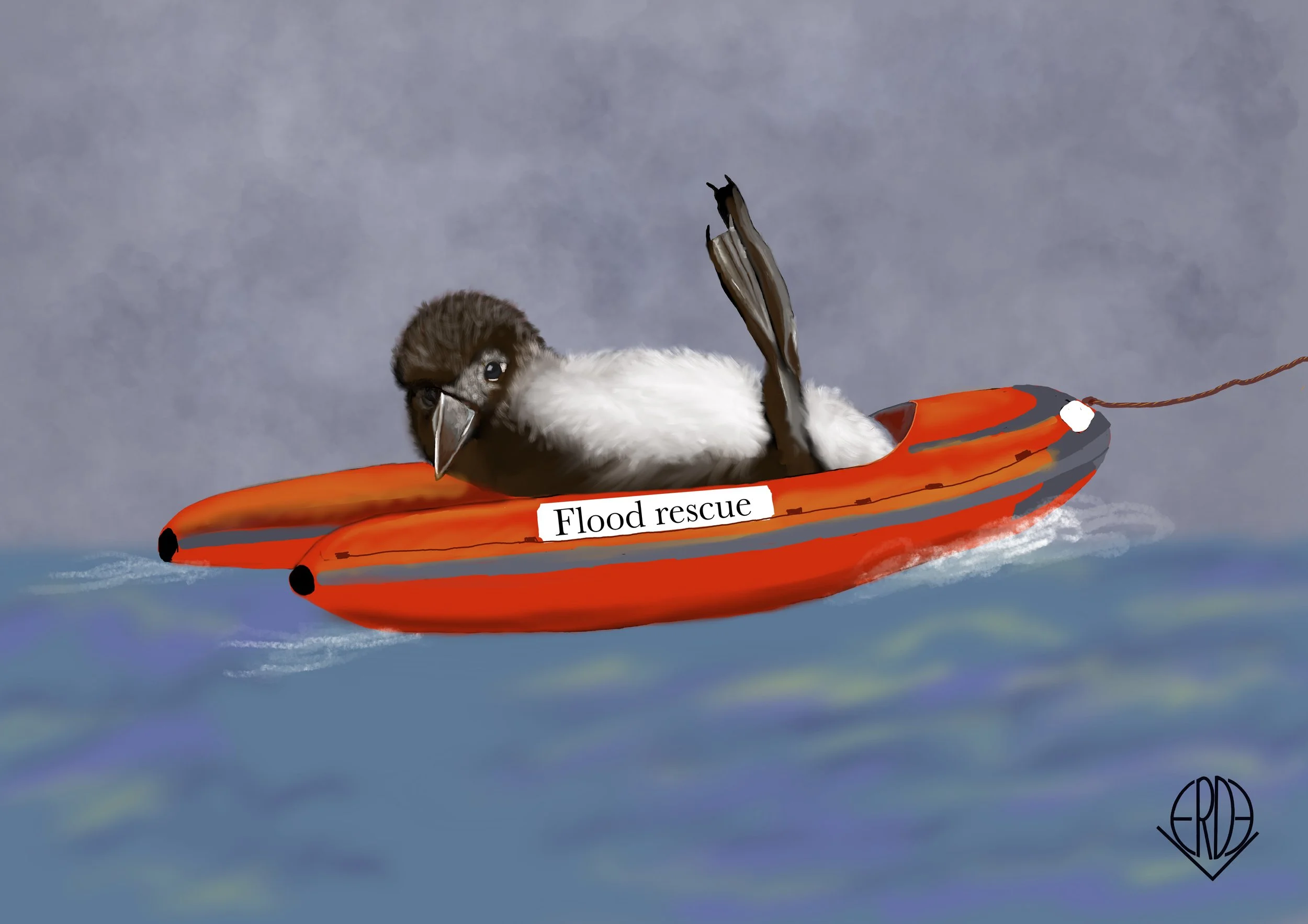 Summer coastal events flood nesting sites