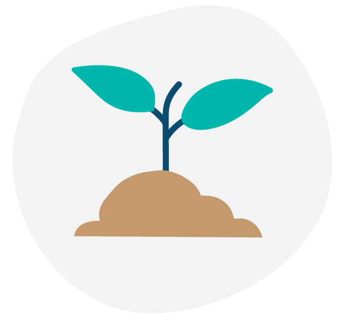 Illustration of a sprouting seedling with two green leaves emerging from brown soil.