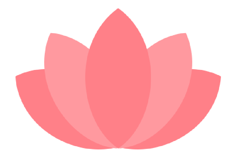 Pink lotus flower with multiple petals