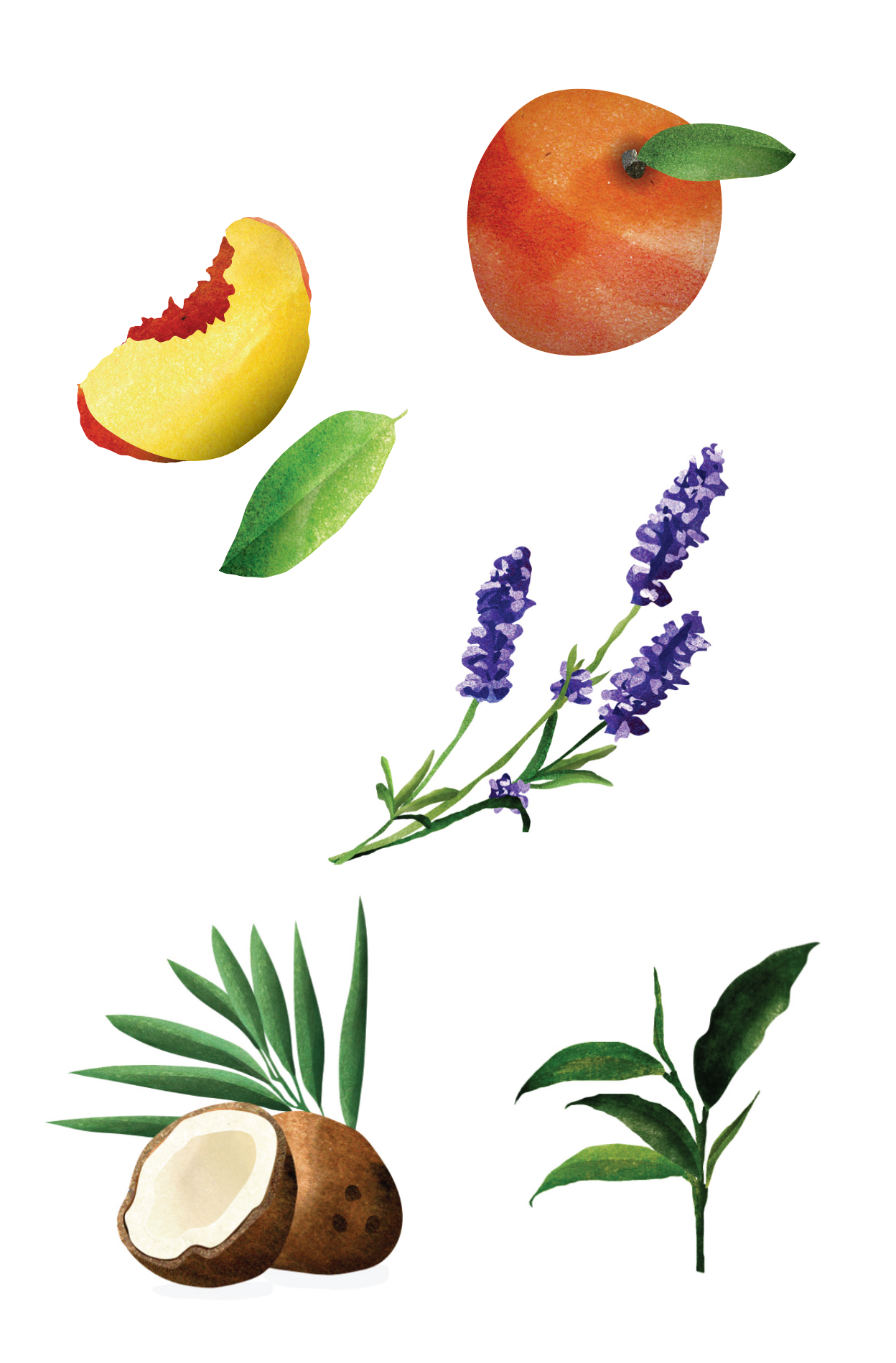 Screenshot 2026-02-11 at 13.54.11.png